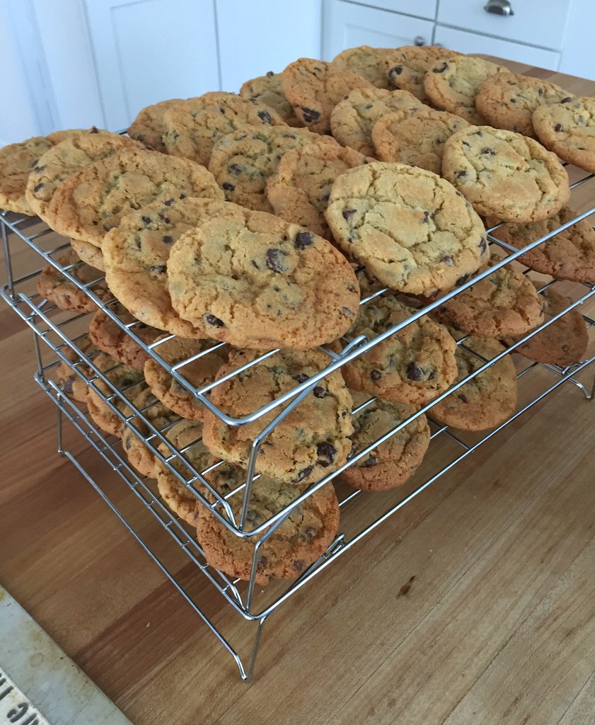 chocolate chip cookies