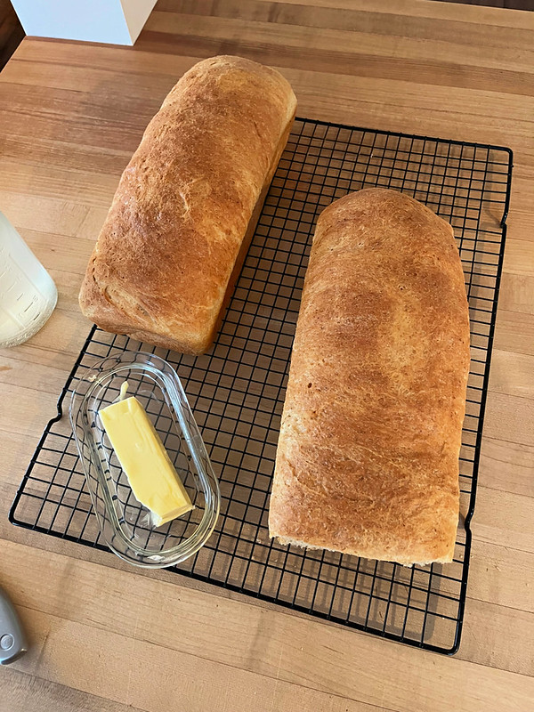 sandwich bread